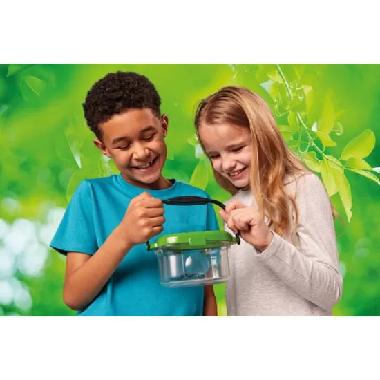 Observatorul pentru insecte Observatorul pentru insecte