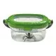 Observatorul pentru insecte Observatorul pentru insecte