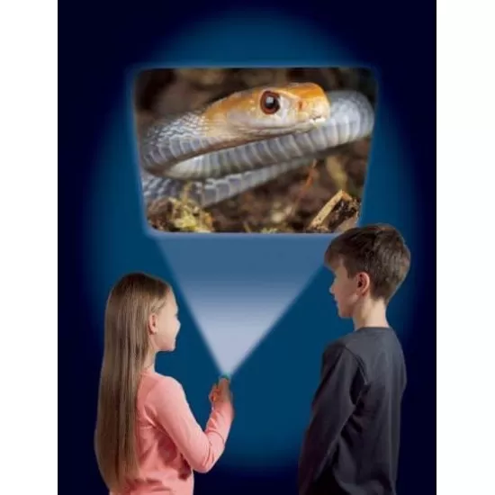 Proiector tip lanterna - Animale periculoase Proiector tip lanterna - Animale periculoase