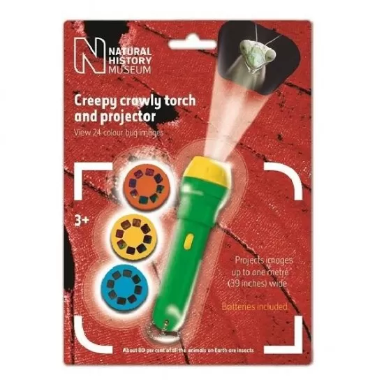 Proiector tip lanterna - Insecte Proiector tip lanterna - Insecte