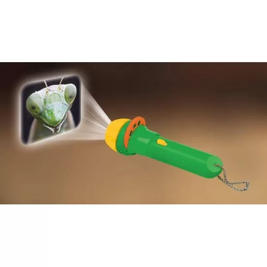 Proiector tip lanterna - Insecte Proiector tip lanterna - Insecte