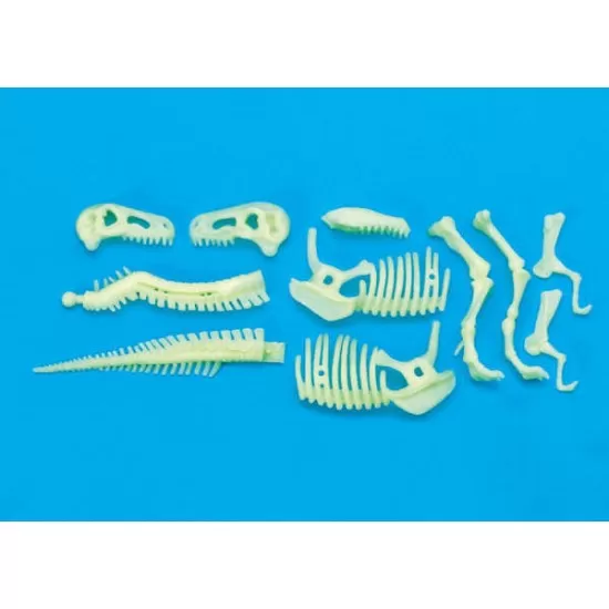 Schelet T-Rex reflectorizant Schelet T-Rex reflectorizant
