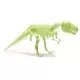 Schelet T-Rex reflectorizant Schelet T-Rex reflectorizant