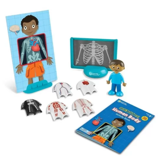 Set activitati educative - Corpul uman Set activitati educative - Corpul uman