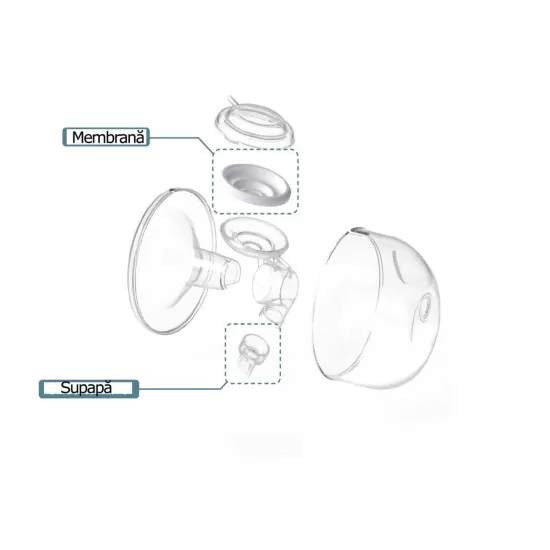 Set Cupe Hands Free (24 mm) Set Cupe Hands Free (24 mm)