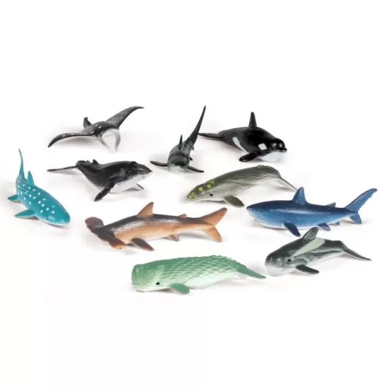 Set de sortat - Animalute din ocean Set de sortat - Animalute din ocean