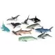 Set de sortat - Animalute din ocean Set de sortat - Animalute din ocean