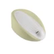 Suport anatomic pentru cadita - Verde Eco
