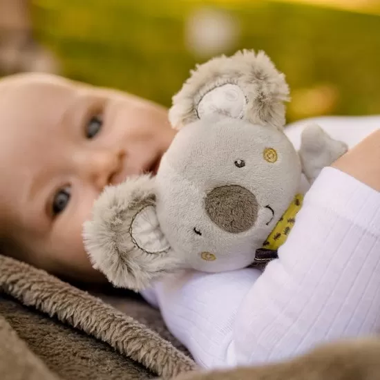 Zornaitoare Koala