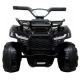 ATV electric pentru copii 2-4 ani J8AAA R-Sport - Negru ATV electric pentru copii 2-4 ani J8AAA R-Sport - Negru