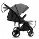 Carucior sport Kidwell Carell Dark Gray