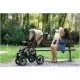 Carucior Vessanti Crooner 2 in 1 - Green/Gray Carucior Vessanti Crooner 2 in 1 - Green/Gray