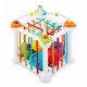 Cub educational cu diverse forme Ricokids RK-759 Cub educational cu diverse forme Ricokids RK-759