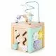 Cub educational din lemn cu labirint si sortator Ecotoys HM015472