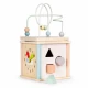 Cub educational din lemn pentru copii Ecotoys Cub educational din lemn pentru copii Ecotoys