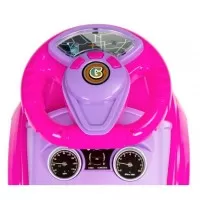Masinuta de impins Ecotoys 613W - Roz
