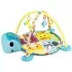Salteluta de joaca cu bile Ecotoys 88968 Broasca Testoasa - Albastra Salteluta de joaca cu bile Ecotoys 88968 Broasca Testoasa - Albastra