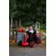 Kart electric Rollplay XL 12V Kart electric Rollplay XL 12V