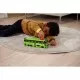 Autobuz Dickie Toys MAN Lion's Coach 26,5 cm Flixbus verde Autobuz Dickie Toys MAN Lion's Coach 26,5 cm Flixbus verde