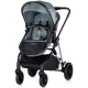 Carucior copii 2 in 1 Chipolino Aura Basil