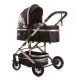 Carucior copii 2 in 1 Chipolino Estelle Leaves Carucior copii 2 in 1 Chipolino Estelle Leaves
