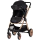 Carucior copii 2 in 1 Chipolino Vista Blackberry