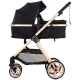 Carucior copii 2 in 1 Chipolino Vista Blackberry