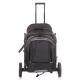 Carucior sport Chipolino Combo Glacier