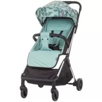 Carucior sport Chipolino Easy Go Aloe