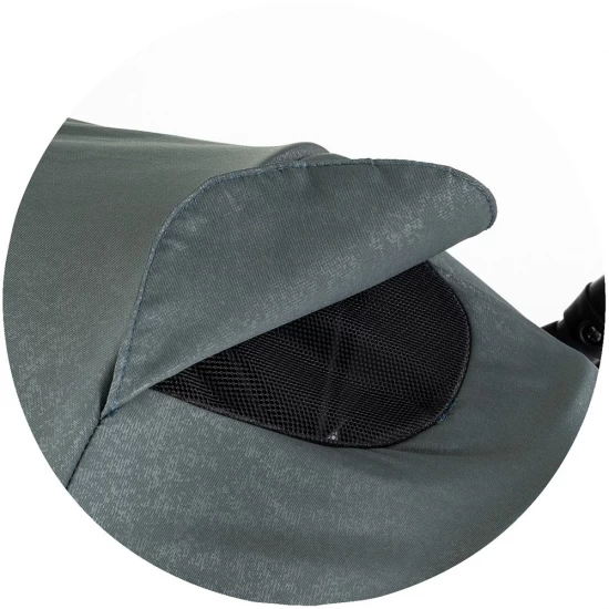 Carucior sport Chipolino Sparkle Basil Carucior sport Chipolino Sparkle Basil