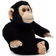 Jucarie plus Simba Disney National Geographic Chimpanzeu 25 cm Jucarie plus Simba Disney National Geographic Chimpanzeu 25 cm