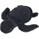 Jucarie plus Simba Disney National Geographic Turtle 25 cm