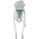 Leagan electric Chipolino Moonlight Pastel Green Leagan electric Chipolino Moonlight Pastel Green