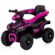 Masinuta de impins Chipolino ATV cu maner Pink