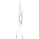 Scaun de masa Chipolino Teddy Platinum