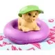 Set accesorii Barbie la piscina cu figurina catelus Set accesorii Barbie la piscina cu figurina catelus