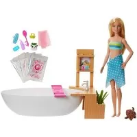 Set Barbie Wellness and Fitness papusa cu cada