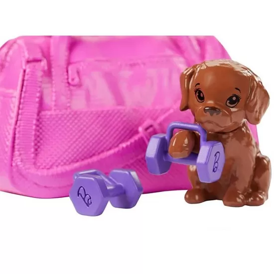 Set papusa Barbie la sala de sport cu figurina si accesorii Set papusa Barbie la sala de sport cu figurina si accesorii