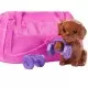 Set papusa Barbie la sala de sport cu figurina si accesorii Set papusa Barbie la sala de sport cu figurina si accesorii
