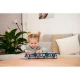 Tramvai Dickie Toys Siemens City Tram 41,5 cm albastru Tramvai Dickie Toys Siemens City Tram 41,5 cm albastru