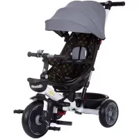 Tricicleta Chipolino Pegas cu sezut reversibil Platinum