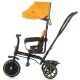Tricicleta Chipolino Pulse Mustard Tricicleta Chipolino Pulse Mustard