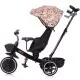 Tricicleta Chipolino Smart cu sezut reversibil Pink Tricicleta Chipolino Smart cu sezut reversibil Pink