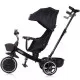 Tricicleta Chipolino Smart cu sezut reversibil Raven Tricicleta Chipolino Smart cu sezut reversibil Raven