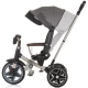 Tricicleta cu copertina si sezut reversibil Chipolino Derby Granite Tricicleta cu copertina si sezut reversibil Chipolino Derby Granite