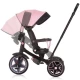 Tricicleta cu copertina si sezut reversibil Chipolino Derby Flamingo Tricicleta cu copertina si sezut reversibil Chipolino Derby Flamingo