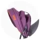 Tricicleta gemeni Chipolino 2Play Lilac Platinum