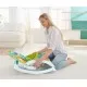Balansoar portabil nou-nascut Fisher Price Balansoar portabil nou-nascut Fisher Price