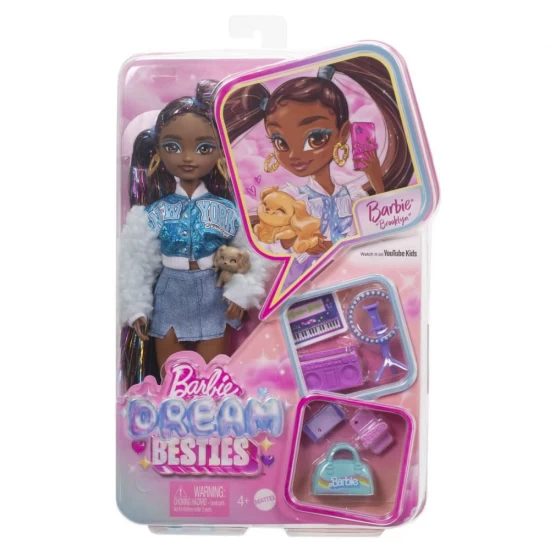 Papusa Barbie Brooklyn Barbie Dream Besties