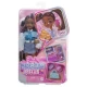 Papusa Barbie Brooklyn Barbie Dream Besties